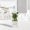 image:imageHoneyCanDo Glass Herb Preserver ClearWhite medium
